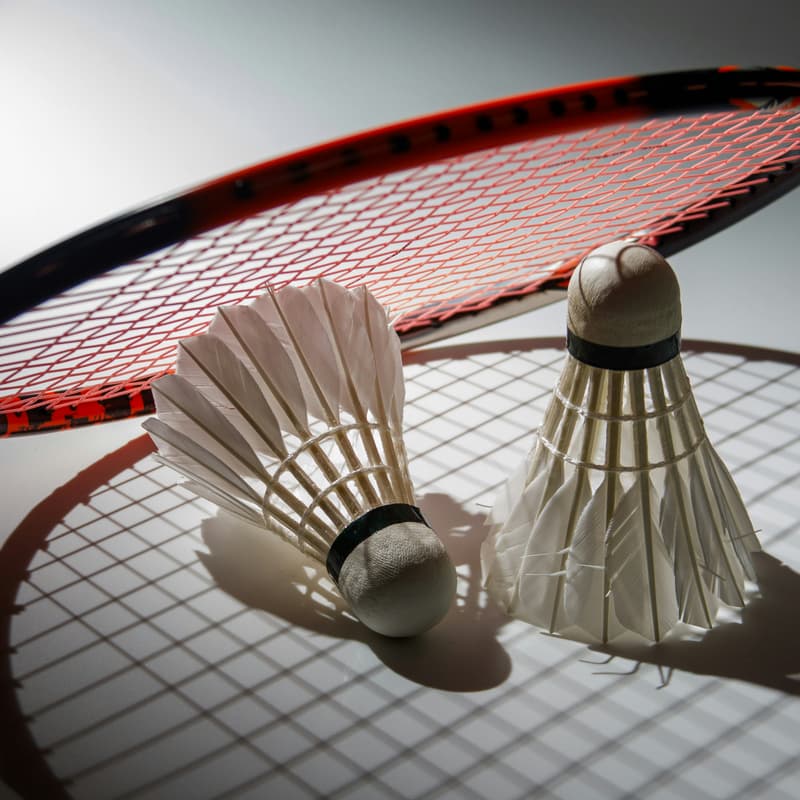 Cover Image for badminton @ sports club