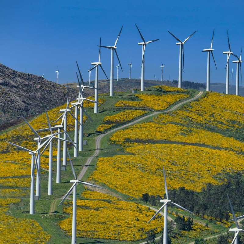 Cover Image for ClimateTech Connections: Founder Pitches & Happy Hour