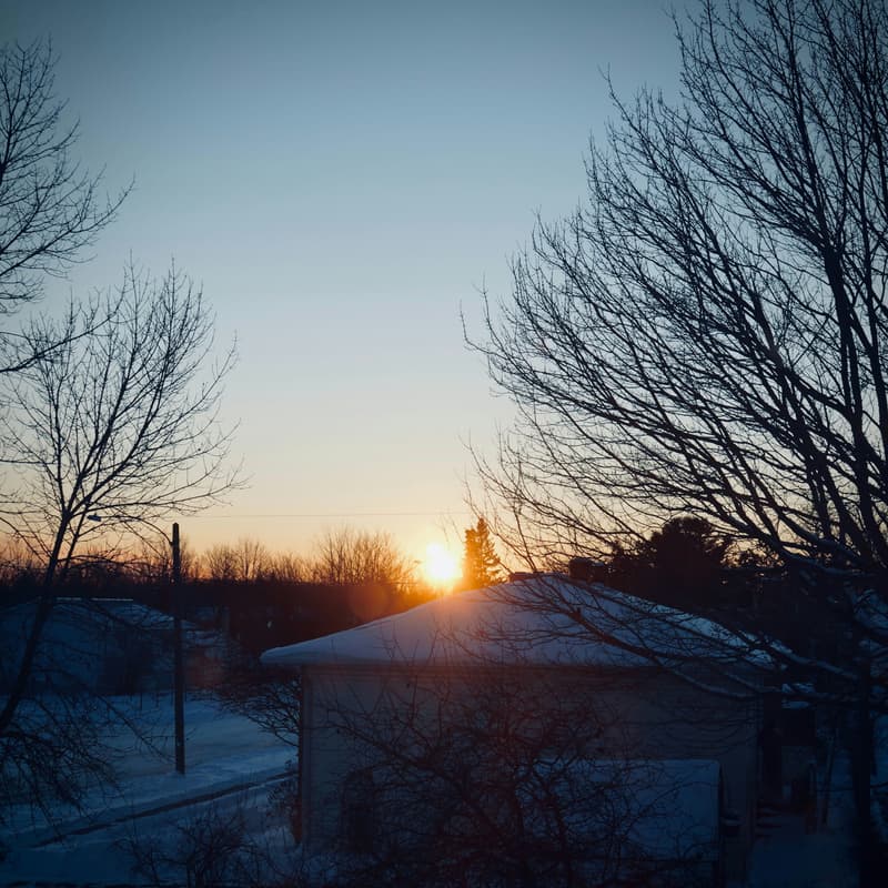 Cover Image for Codename: Sunrise