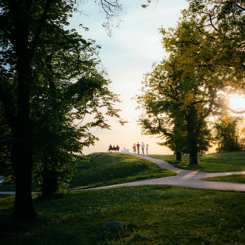 Cover Image for Tabling + Community Outreach