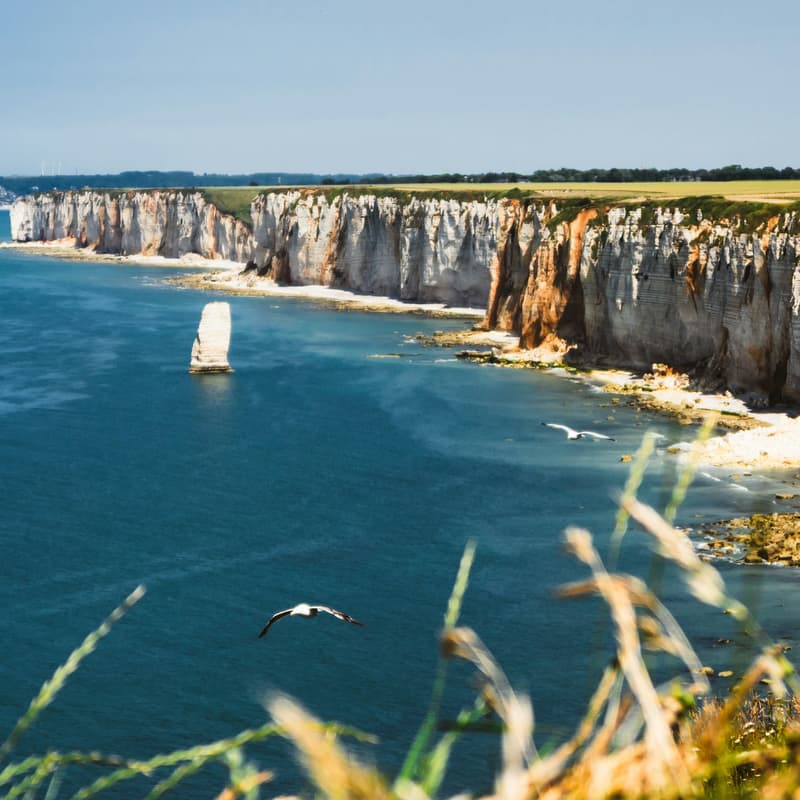 Cover Image for Un goûter, des clés et des destinations : le Home Exchange version plaisir et convivialité !