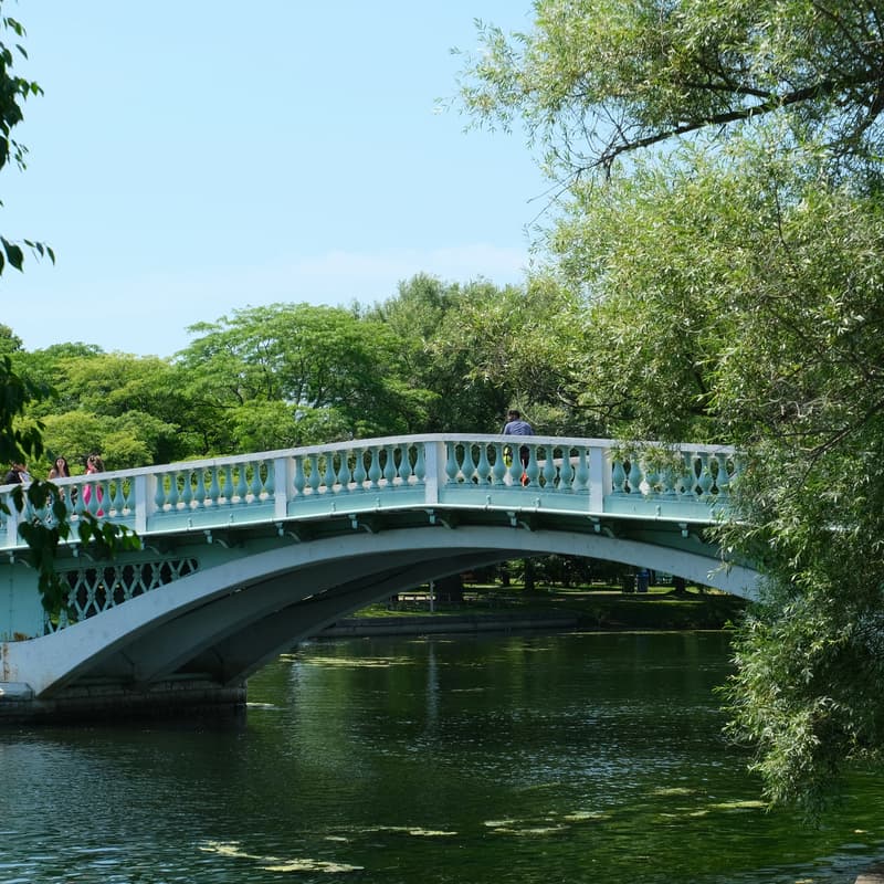 Cover Image for Summer Trip to Centre Island