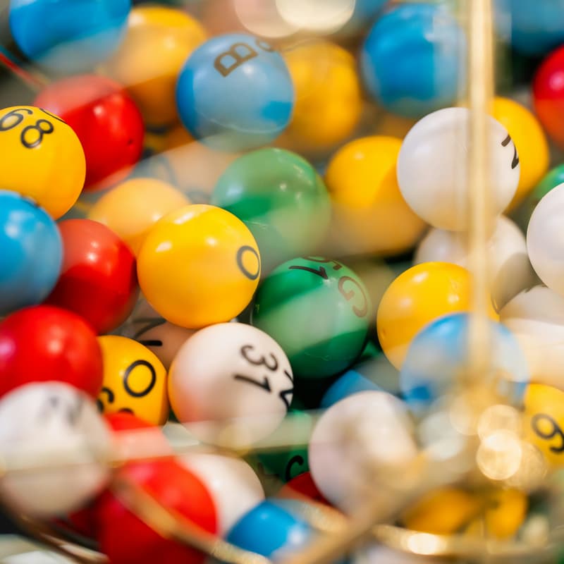 Cover Image for Book Bingo