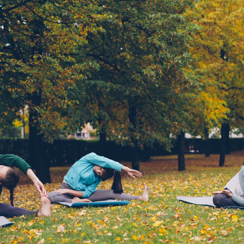 Cover Image for Yoga & Picnic at Canbury Gardens