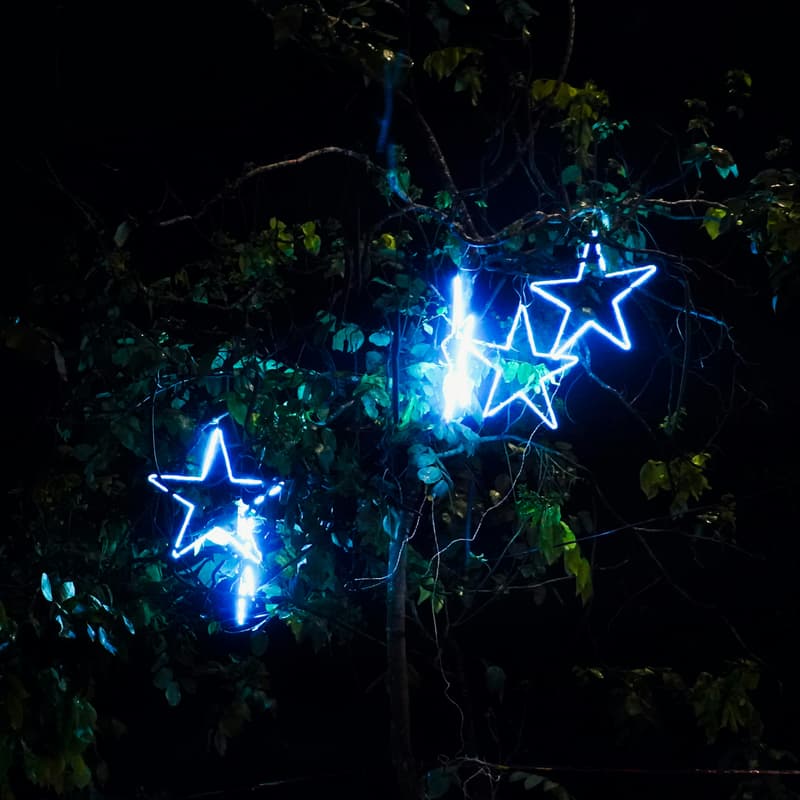 Cover Image for FOHE Holiday Fun