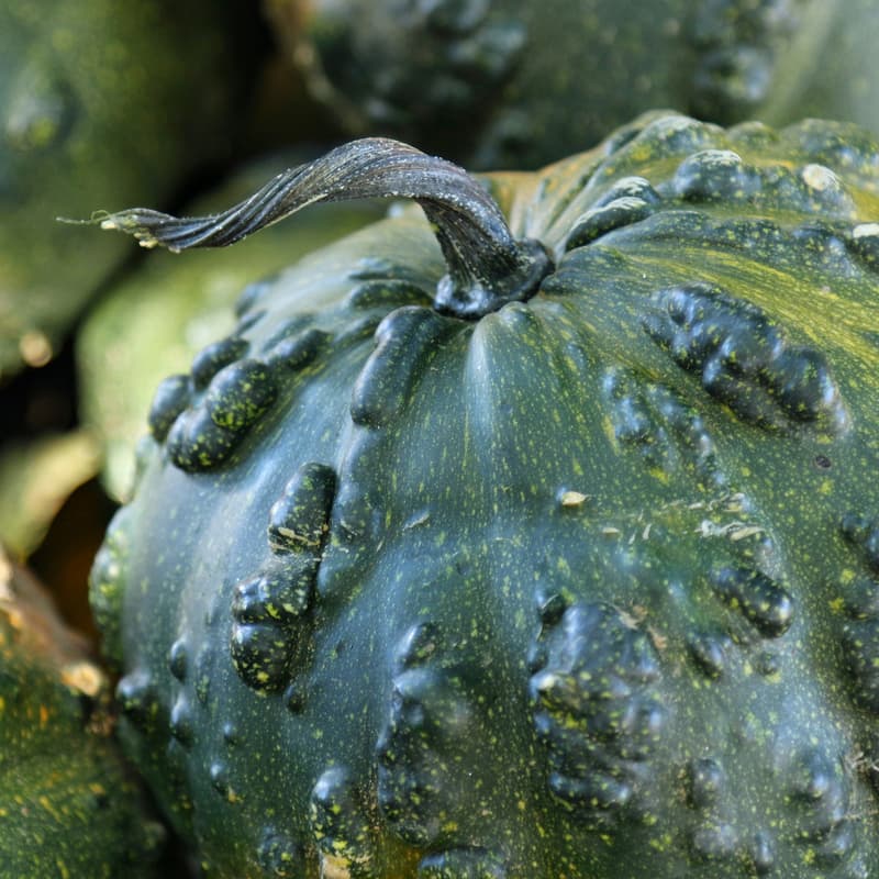 Cover Image for Greater Washington Joint Alumni Climate / Climate Tech - Fall 2026 Happy Hour
