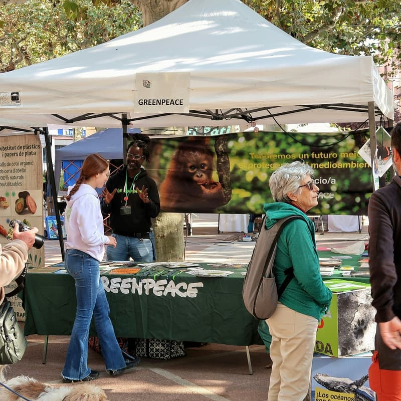 Cover Image for Professional Greek Council Organization Fair