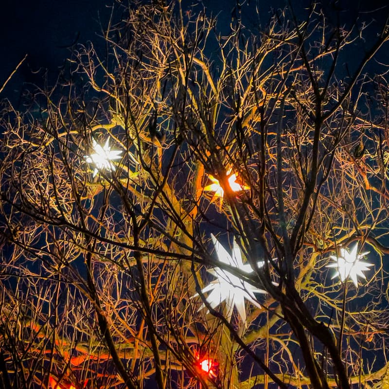 Cover Image for Winter Solstice Gathering