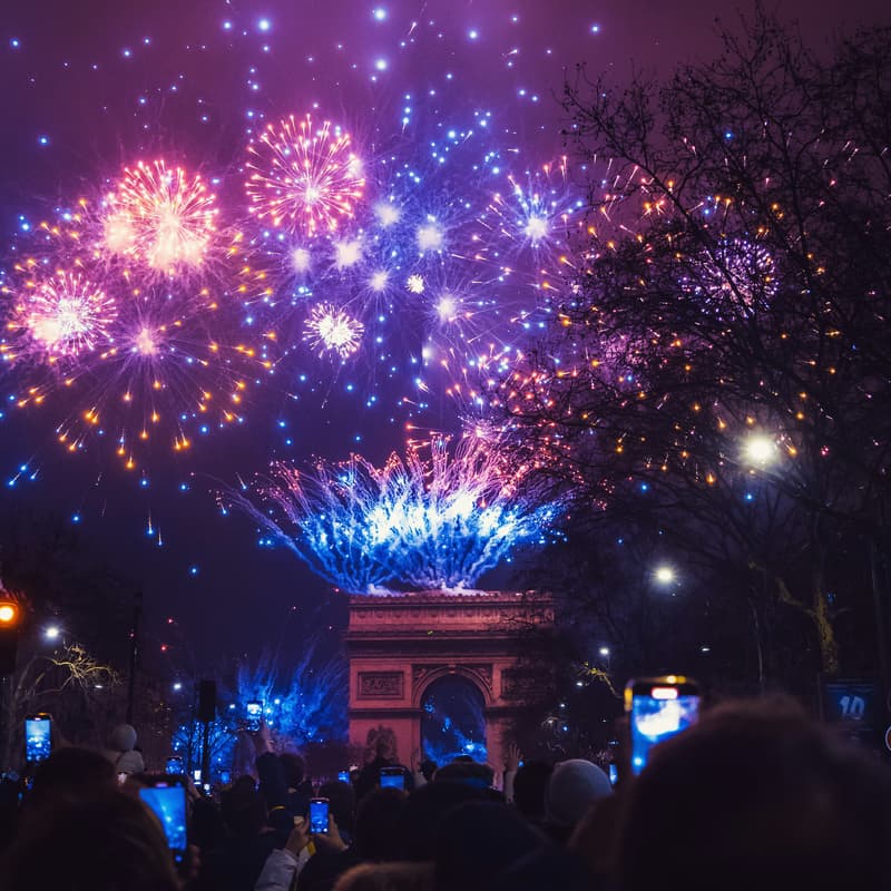 Cover Image for MEGA Picnic Bastille | Celebrate Together