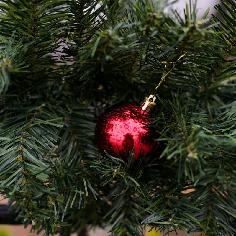 Cover Image for Fordham Holiday Celebration & Toy Distribution