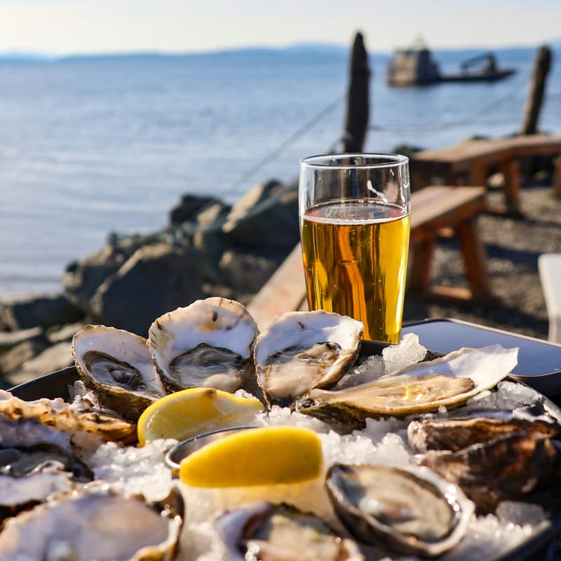 Cover Image for Oyster Sessions: Cowork + Happy Hour