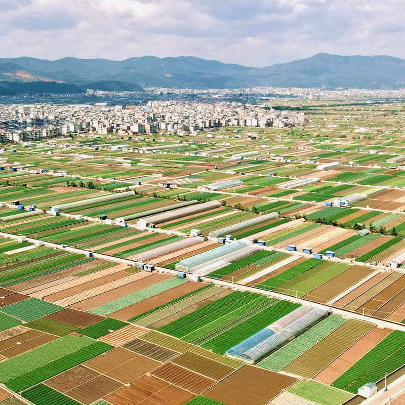 Cover Image for Pitch to Us: Robots in the Field