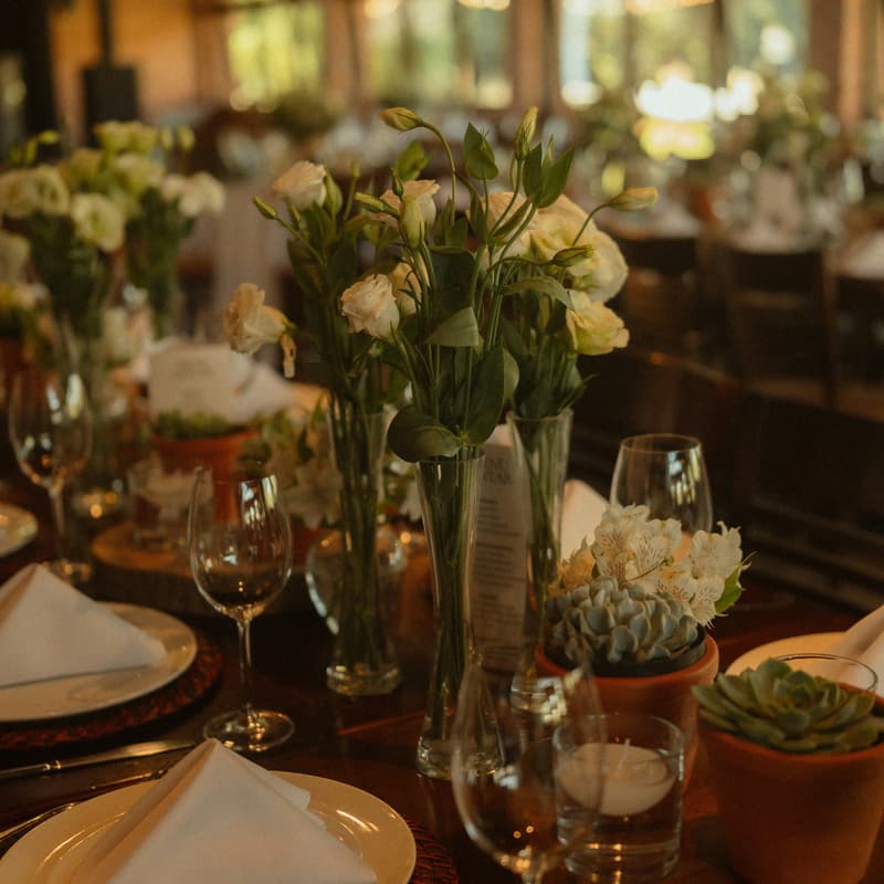 Cover Image for Dinner with Women leading Biotech & Life Sciences in India