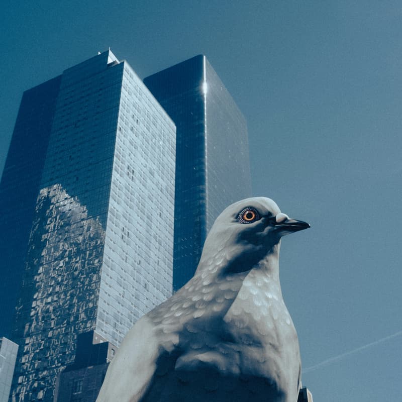 Cover Image for All Ages Event: Book Release and Pigeon Party with Tine Bird