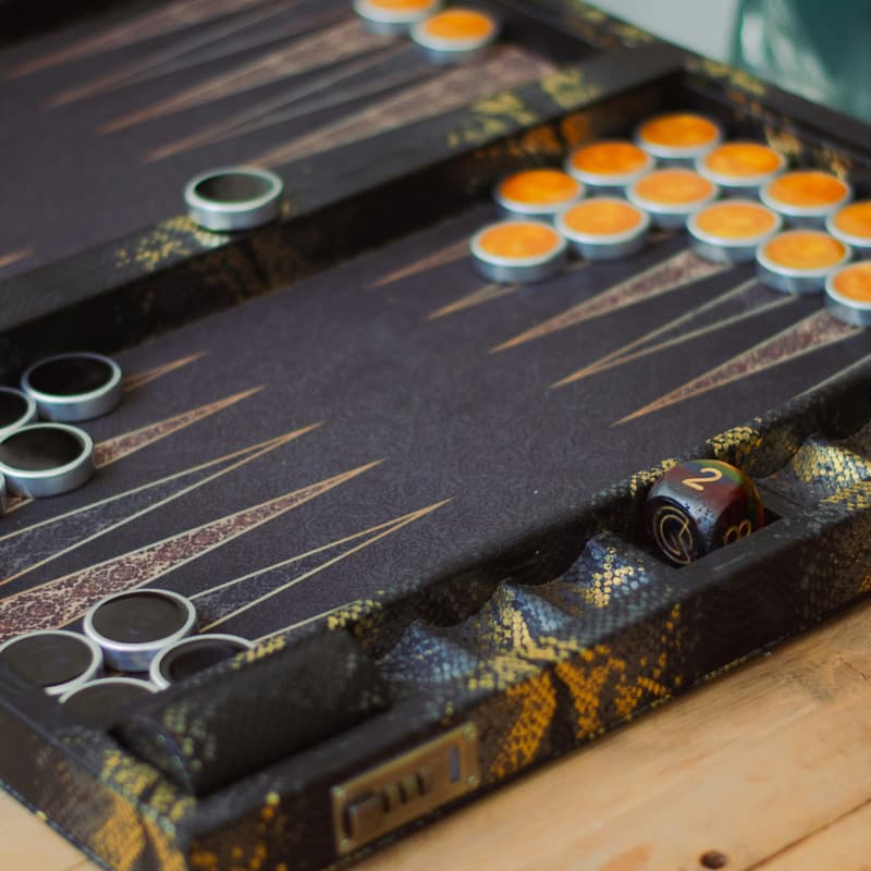 Cover Image for Strategy Lessons from Backgammon - Part 2