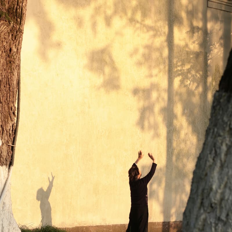 Cover Image for mahjong, qigong, tea