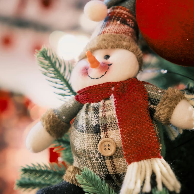 Cover Image for Holiday Hacks