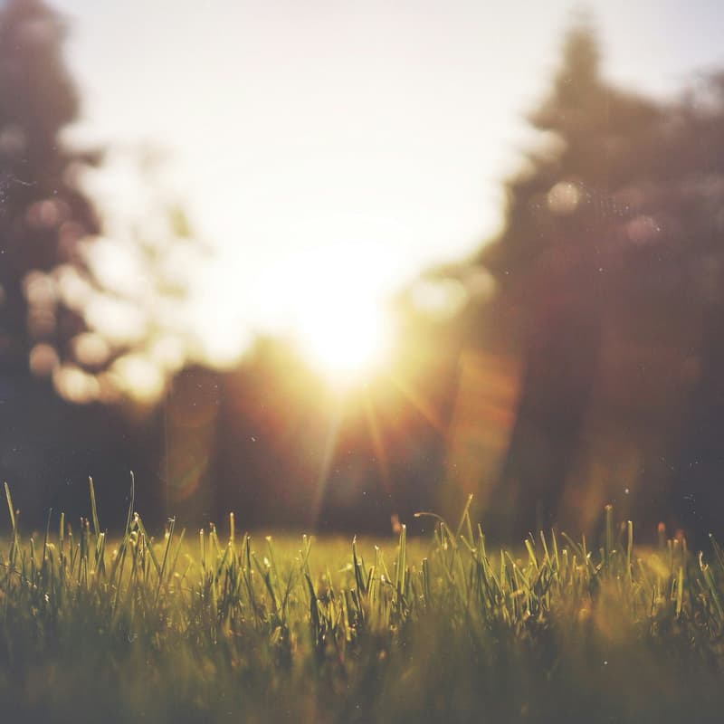 Cover Image for A Theology of the Ordinary: A Summer Book Club