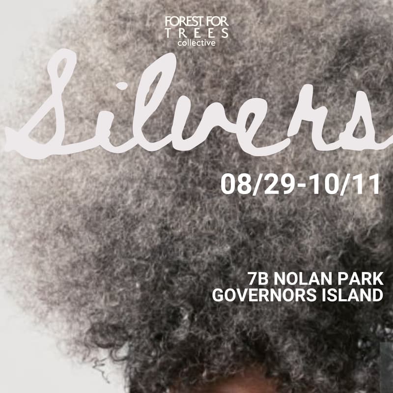 Cover Image for SILVERS Exhibition Opening