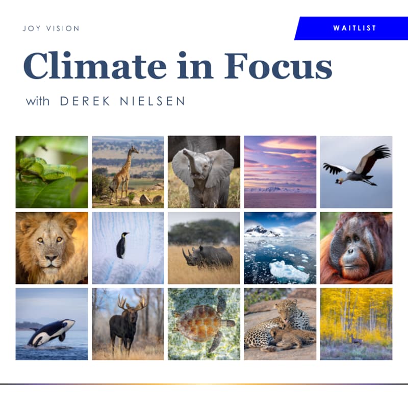 Cover Image for Climate in Focus: Conservation through the Lens of Creatives