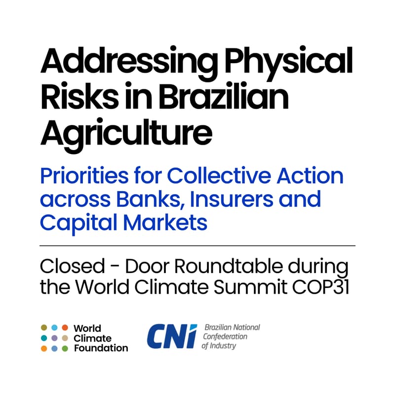 Cover Image for Addressing Physical Risks in Brazilian Agriculture: Priorities for Collective Action across Banks, Insurers and Capital Markets