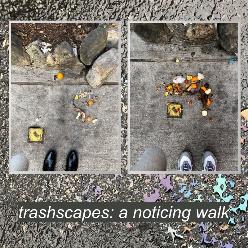 Cover Image for trashscapes: a noticing (and photo) walk