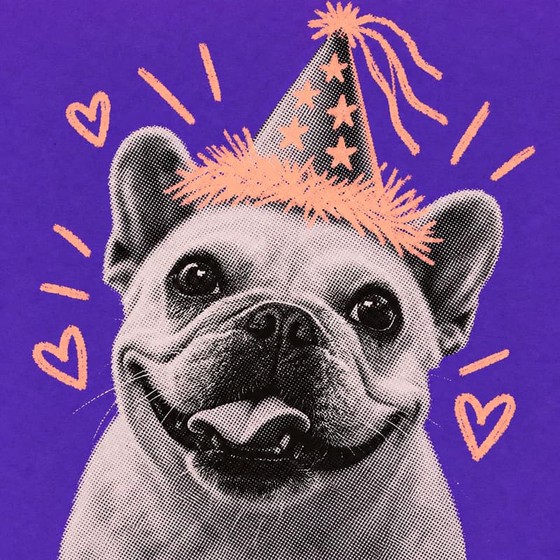 Cover Image for Looking for Love? Your Dog Can Help
