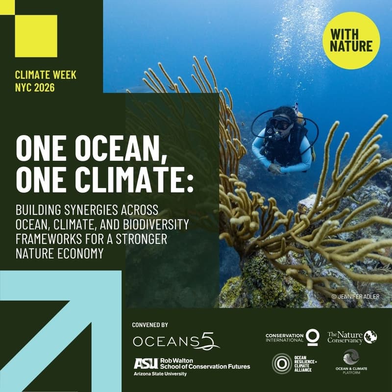 Cover Image for One Ocean, One Climate: Building Synergies Across Ocean, Climate, and Biodiversity Frameworks for a Stronger Nature Economy