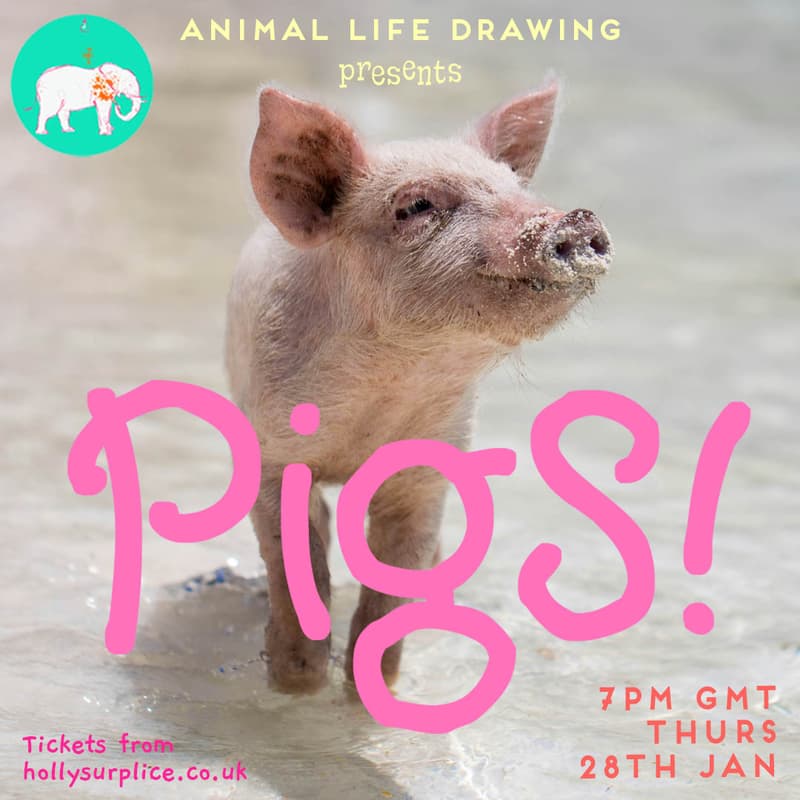 Cover Image for PIGS!