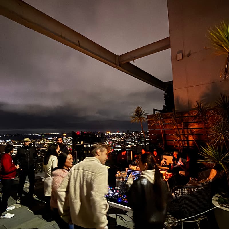 Cover Image for The View Social