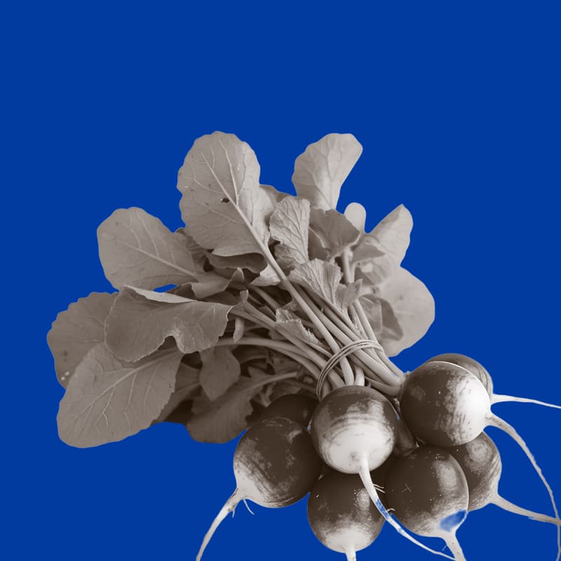 Cover Image for Conjugação Terra | Visita Guiada & Percurso Gastronômico
