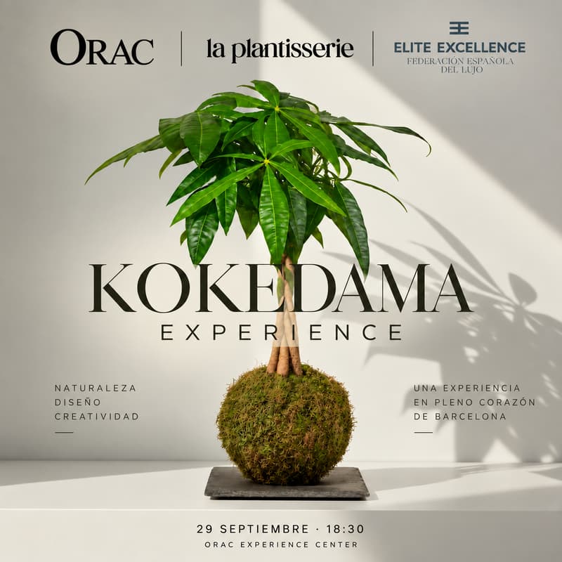 Cover Image for KOKEDAMA EXPERIENCE 🌿