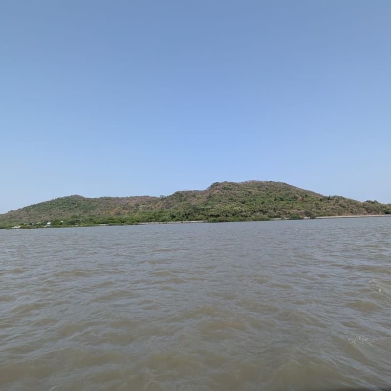 Cover Image for Elephanta Island Mangrove clean-up