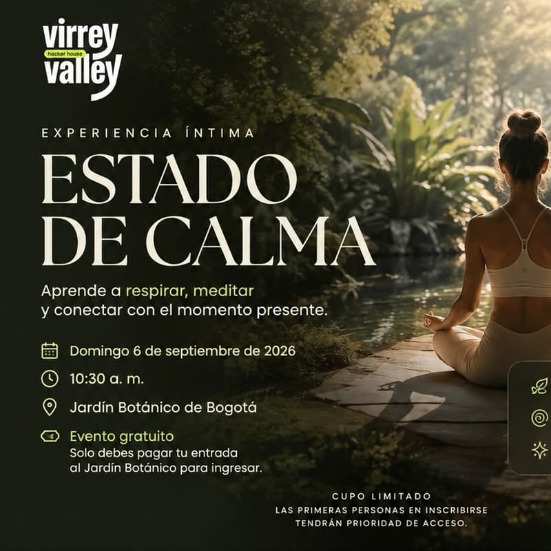 Cover Image for Estado de Calma
