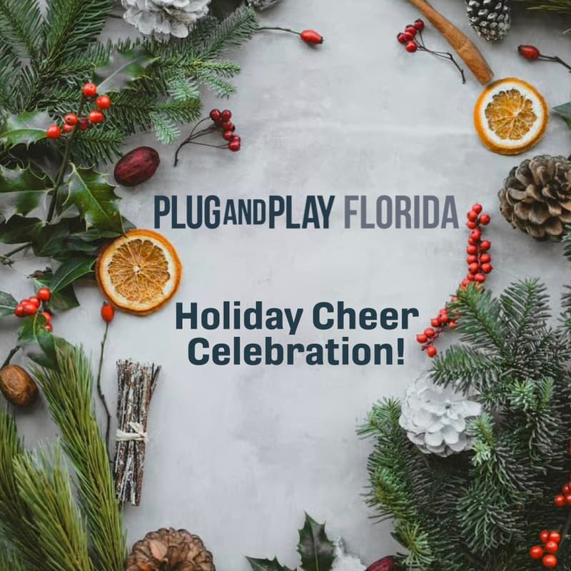 Cover Image for Plug and Play Florida Holiday Cheer!