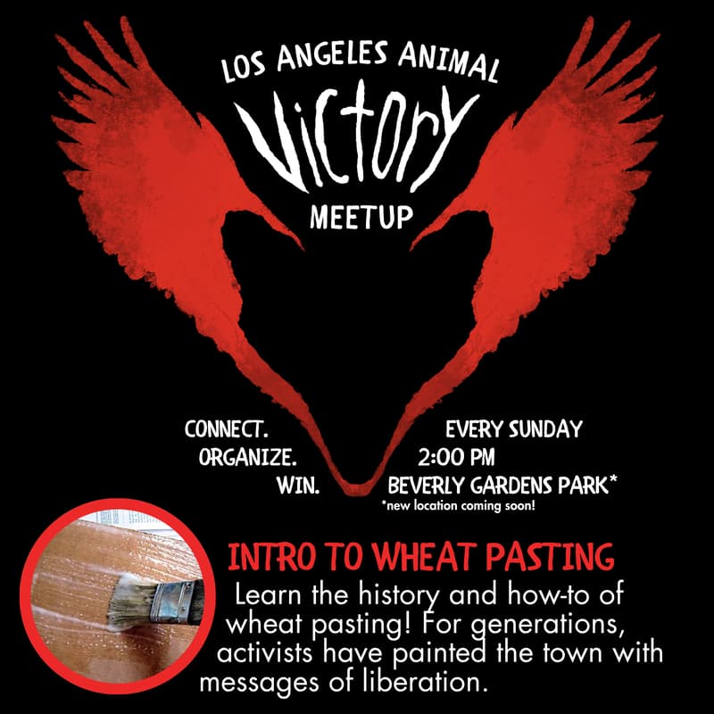 Cover Image for Intro to Wheat Pasting - LA Animal Victory Meetup