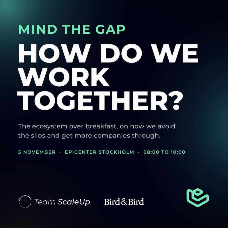 Cover Image for Mind the Gap: How do we work together and avoid silos for a stronger scaleup landscape?