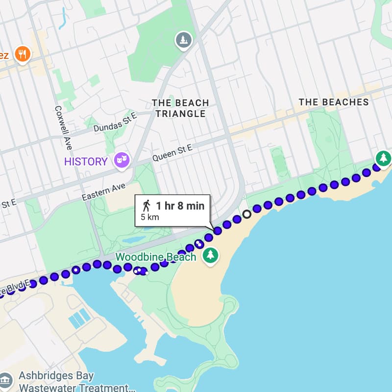 Cover Image for YYZ - Startups & AI walks - Beach Walk