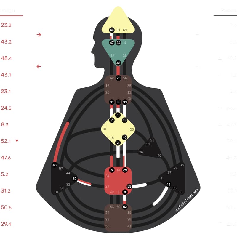 Cover Image for How To Live By Your Human Design