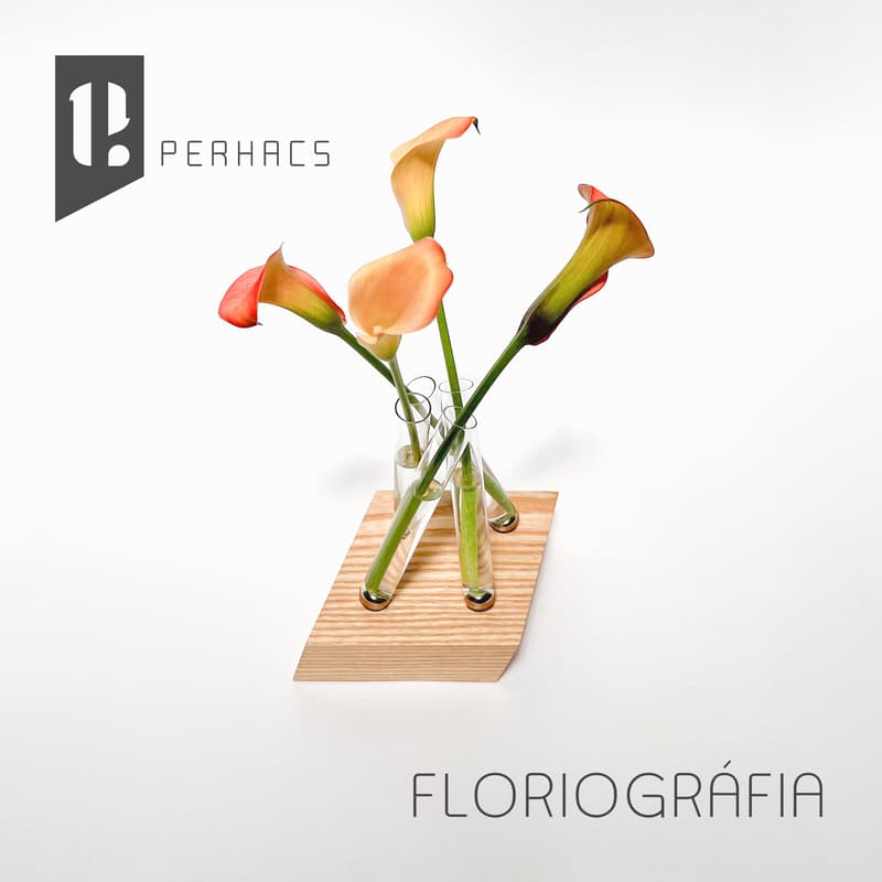 Cover Image for Perhacs Studio open house presented by LA Design Weekend