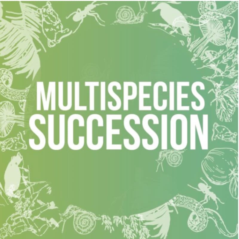 Cover Image for Multispecies Succession: New perspectives
