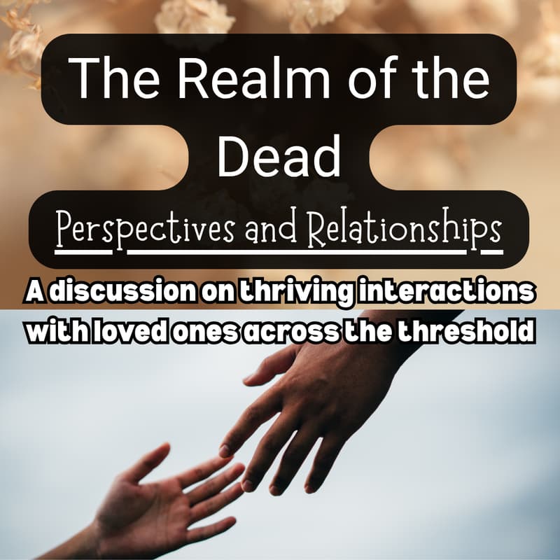 Cover Image for The Realm of the Dead: Perspectives and Relationships