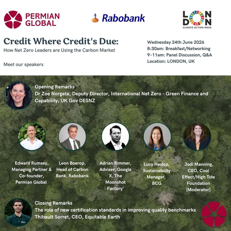 Cover Image for Credit Where Credit's Due: How Net Zero Leaders are Using the Carbon Market