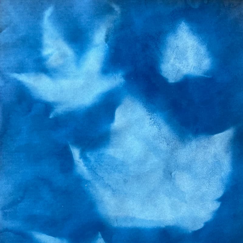 Cover Image for NATURAL ANTHOTYPE & CYANOTYPE PRINT WORKSHOP
