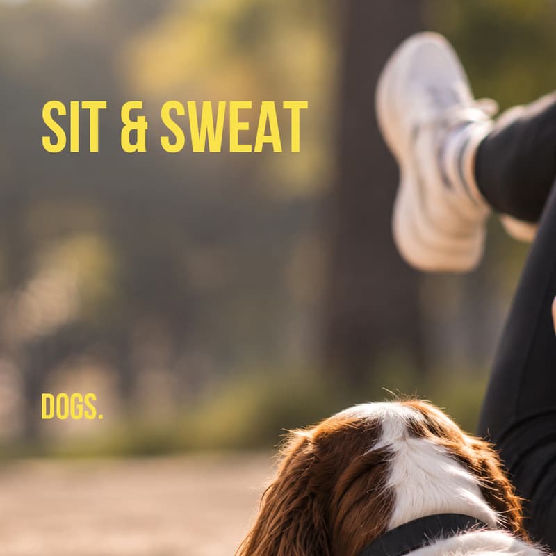 Cover Image for SIT & SWEAT with special guests