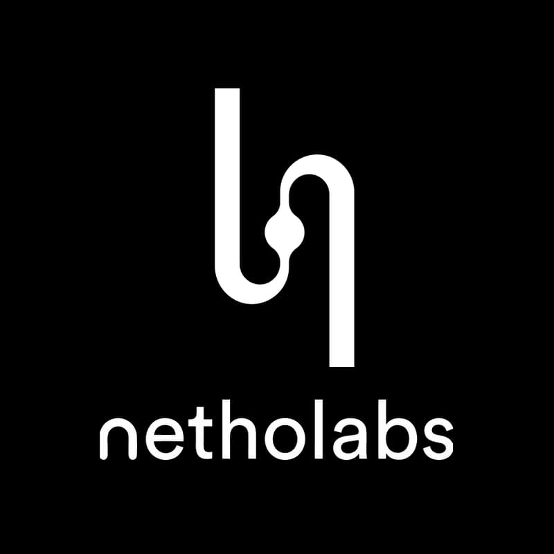 Cover Image for Uploading and Functional Emulation: A Talk with Netholabs' CEO, Catalin Mitelut