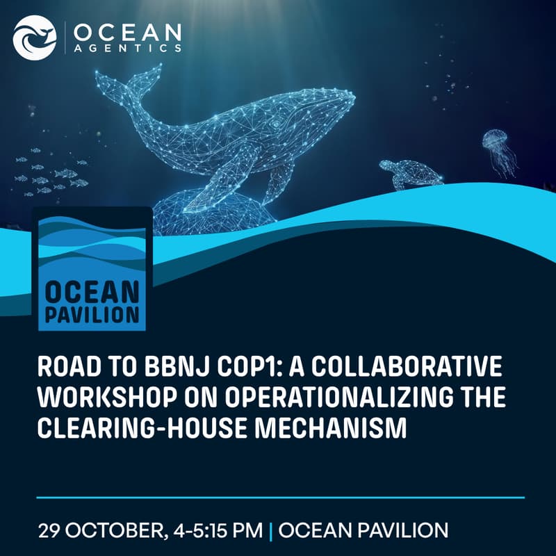 Cover Image for Road to BBNJ COP1: A Collaborative Workshop on Operationalizing the Clearing-House Mechanism