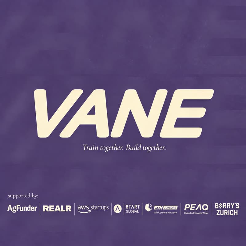 Cover Image for VANE Zurich – The Room Returns