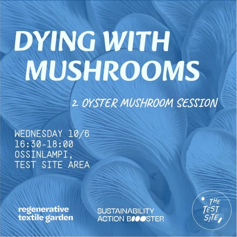 Cover Image for Dying Fabrics With Mushrooms