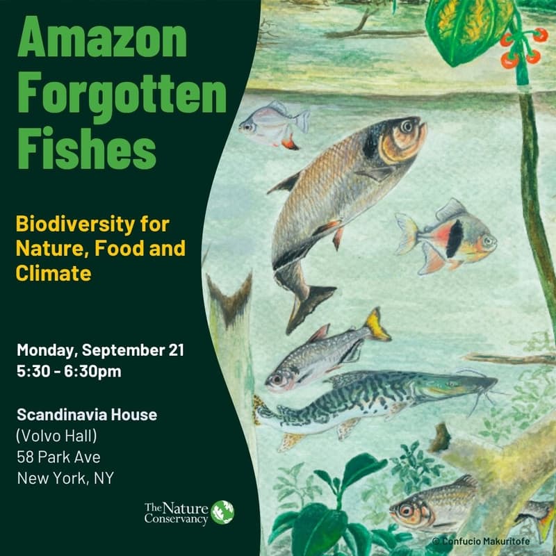 Cover Image for Amazon Forgotten Fishes